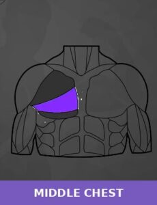 Mid Chest: 7 Essential Exercises for a Powerful Physique