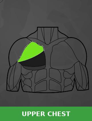 7 Best Upper Chest Exercises for a Fuller, More Powerful Chest 6 upper chest exercise